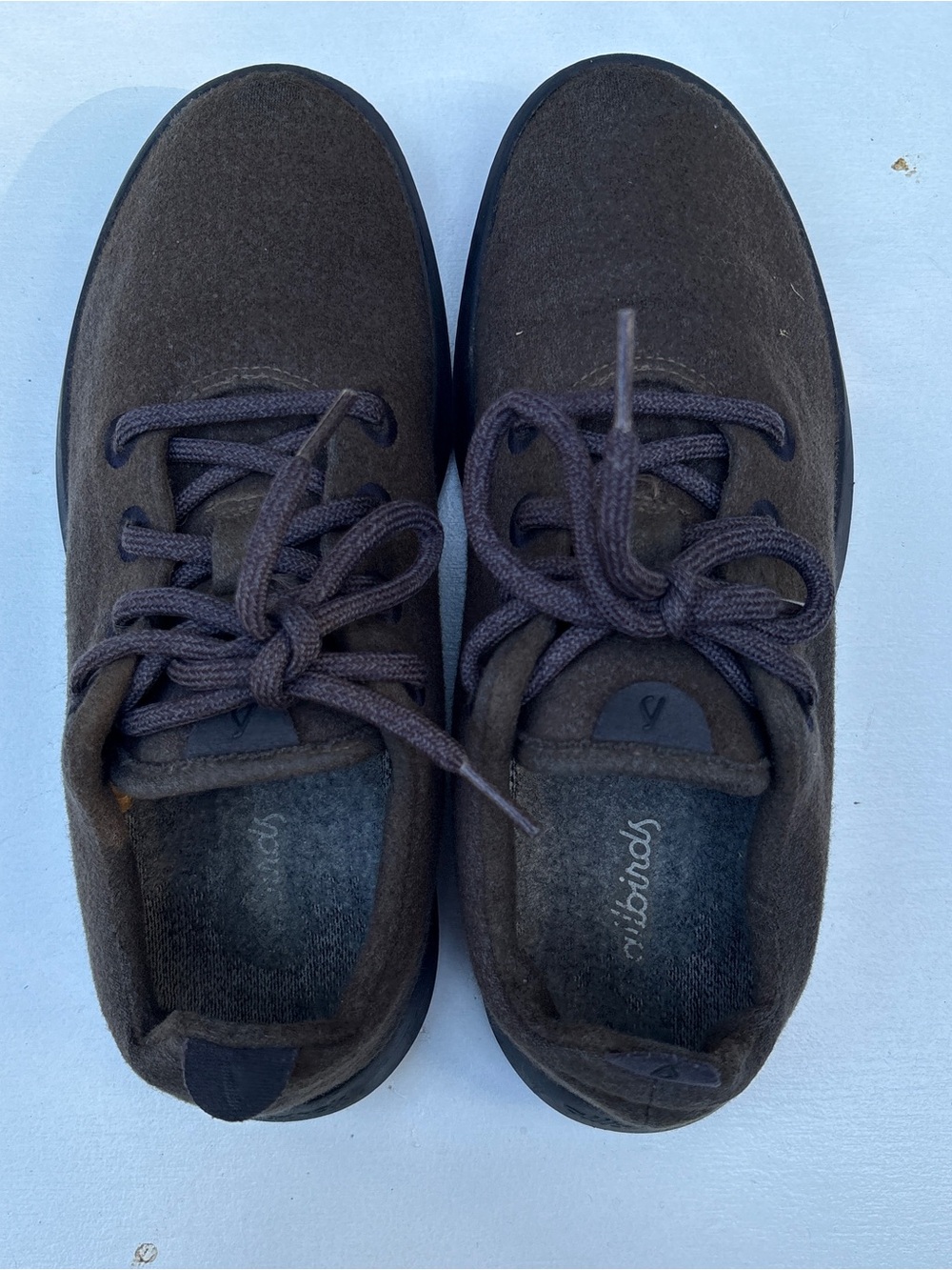 allbirds Brown Wool Casual Sneakers